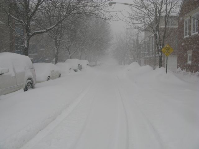 winter