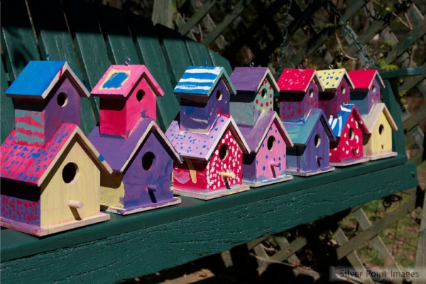 Creating birdhouses is a fun service project that can help the environment.