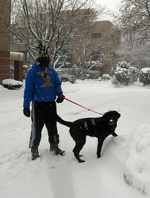 Walking the dog