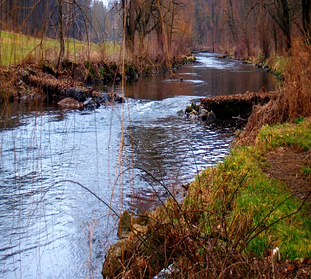 A nature trail is a great place to volunteer.