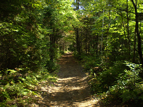 Students helped plan a new hiking trail as part of a service-learning course.